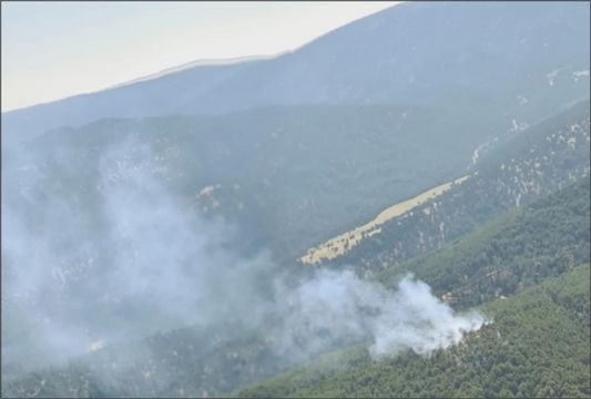 Belence’deki Orman Yangını Korkuttu