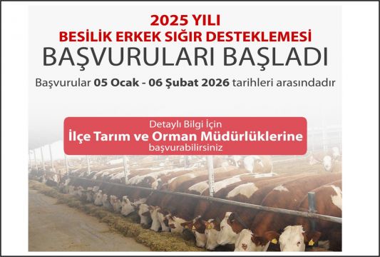 Besilik Erkek Sığır Destek Başvuruları Başlıyor Çivril İlçe Tarım ve Orman Müdürlüğü Üreticileri Bil